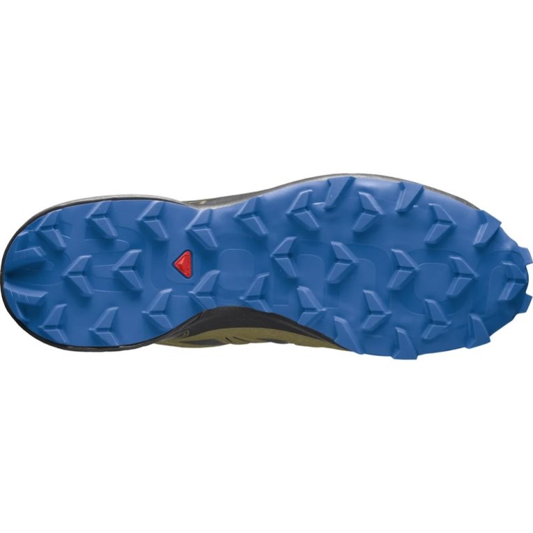 Salomon Speedcross 5 GTX Men's Trail Running Shoes Black / Blue / Olive | CA 53P90